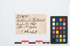 Etikett zu Spinnwirtel (NHMW-PRAE-025971)